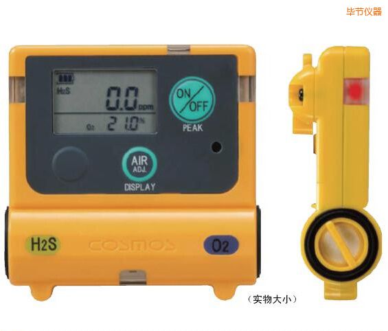 畢節(jié)復合型氣體檢測器