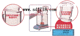 聊城先進型天平,310g,0.001g